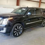 Cadillac Escalade Esv Platinum * Крайна цена*